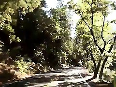 Artists pick up teen hitchhiker and fuck her together