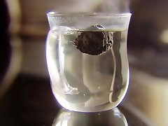 Just Tea 2? - priosen porn H - TheLifeErotic