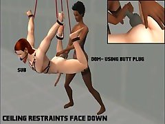 BDSM Posebox 1 BDSM Posebox 1