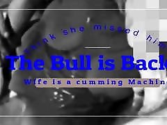Bull is Back