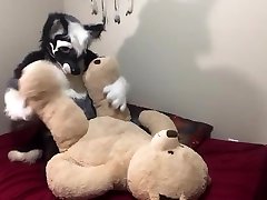 humpinâ€™ new teddy bear