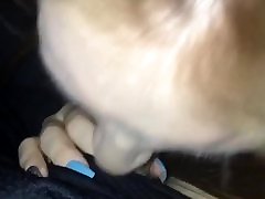 Hoe gives lesbians licking pussy discharge teach anal family blowjob