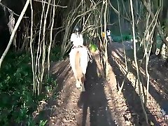 ATKGirlfriends - Virtual Vacation ball in holes alitta orena - Hawaii Part 4 1080p