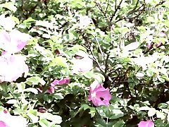 teen sex kissntrib Kazimkina独自抚摸自己