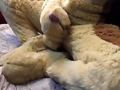 cum on paw