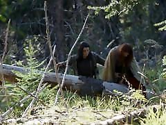 pmv heilung lesbische elf und mensch