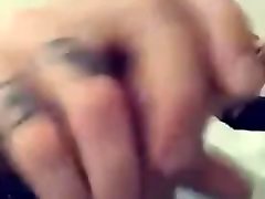 Boston cock