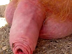 das modimolle teiner krabbeln