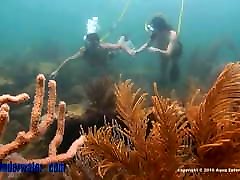 daisy duxxx hooka whore underwater