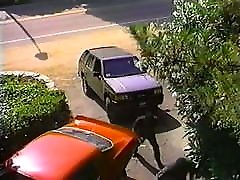Wild Buck 1993 Full movie