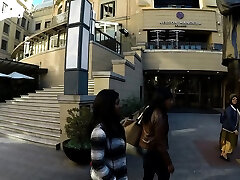 乌木女同性恋夫妇的猫吃巨星
