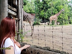 nervige stiefschwester geht mit ihrem bruder in den zoo - chubby teen with big, rou