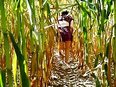 Hot Blowjob In A Cornfield