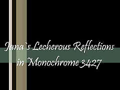 Lecherous Reflections in Monochrome 3427