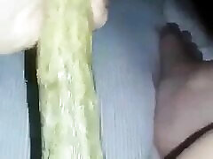 My jassicca alba loves cucumber
