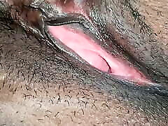 pusy indien
