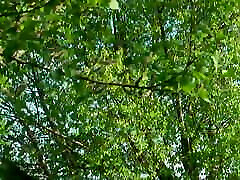 Perfekte Schlampe in Hitze 2 - Kapitel 6