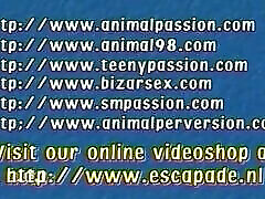 hausgemachte sm – internationale pegging-folter
