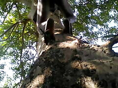 Try This One In The nataia 182 And We Will Be There In The Evening