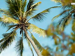 SexUrlaub mit noteiler摩洛伊斯兰解放阵线aus Kleinanzeigen. Taeglich gefickt und gefilmt