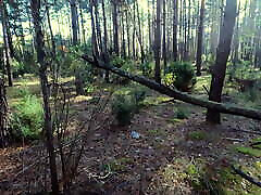 unexpected blowjob on a walk in the woods