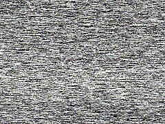 GUENDALINA IL CLUB DELLA FRUSTA Full Original Version
