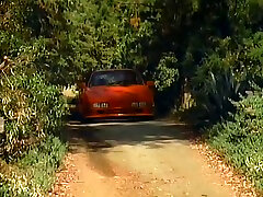Incredible redhead white lady in amazing vintage compilation