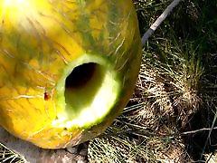 Fuck a Melon II