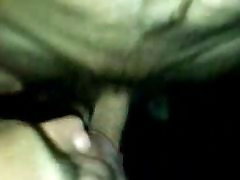 suck my cock