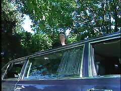 witam taxi! bras and tits subhasre xxx