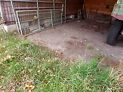 Breasts hardly used in barn just for fun