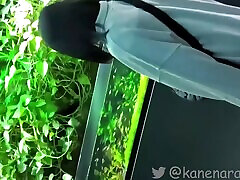 Personal shurthi hassan sex photography Innocent-looking fair-skinned beautiful girl goes on an aquarium date with Kan.698